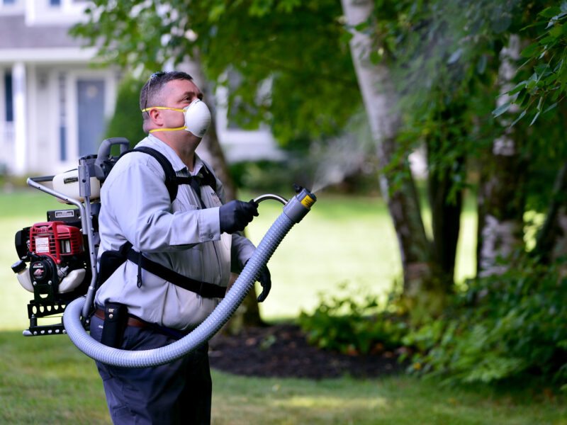 Old School Pest Control | Pest Management In Saratoga County, NY